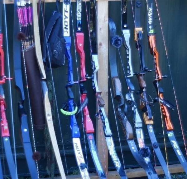 Choosing Your First Bow Guide