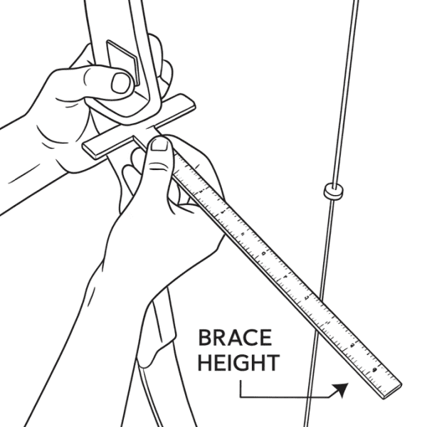 Archery Setup Basics: A Beginner’s Dictionary of…