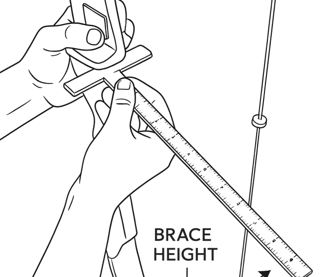 Archery Setup Basics: A Beginner’s Dictionary of…