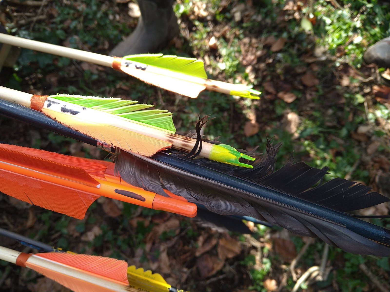 647343446 26576019038658207 3026063208213748632 n