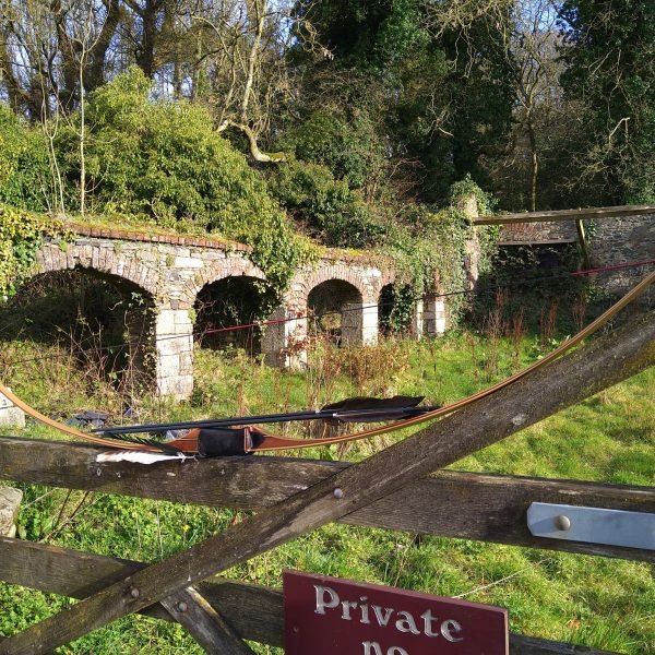 649259444 26585413677718743 8214398029760987752 n