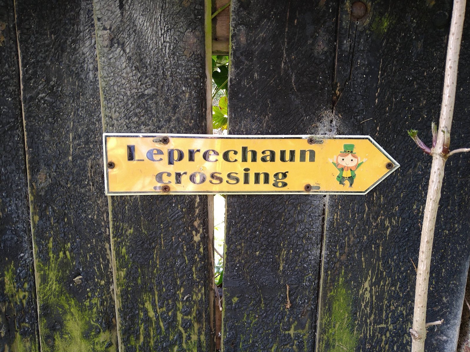 649550585 26585901924336585 5150284547505565003 n