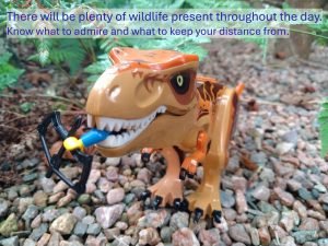 651175782 26654250290835081 7517552073524249001 n