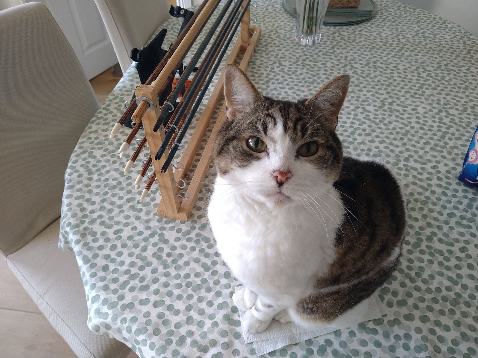 653703307 26678289155097861 4223273978937202896 n