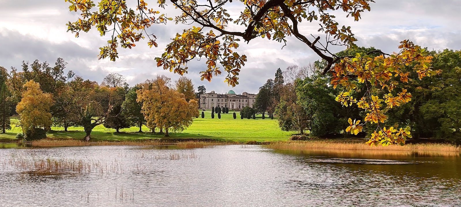 IMG 20231026 124814 edit