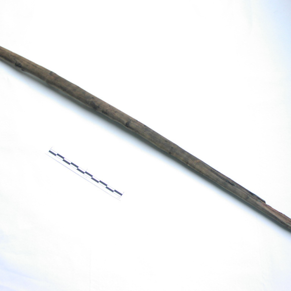 Image 3.png