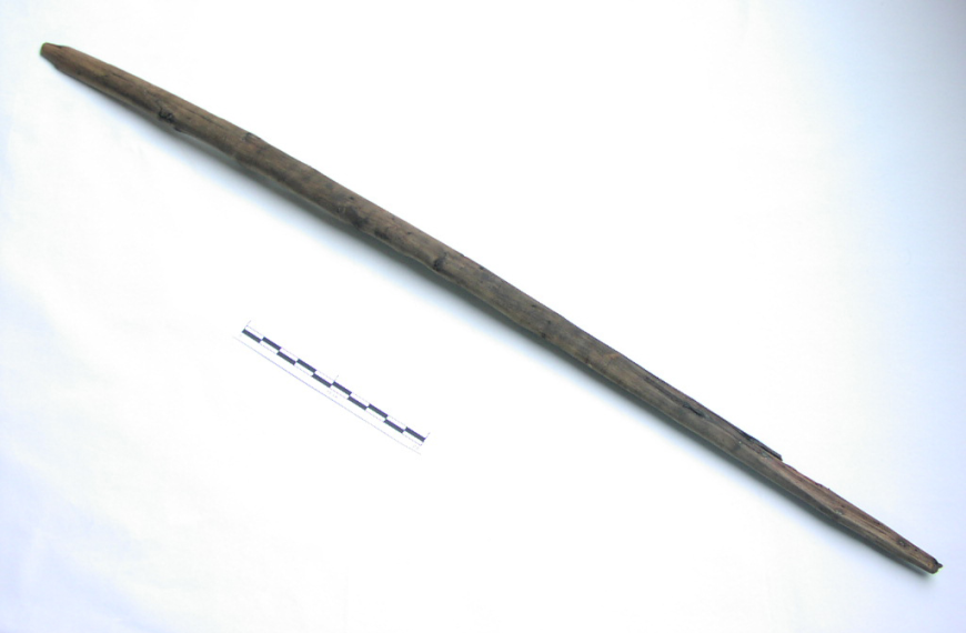 Image 3.png